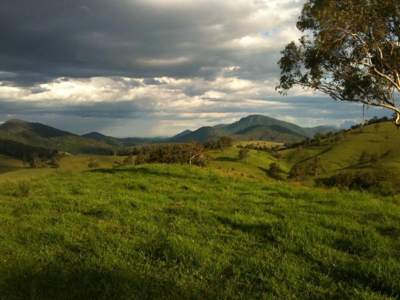 562 Callaghans Creek Road, Mundoee, Gloucester NSW 2422