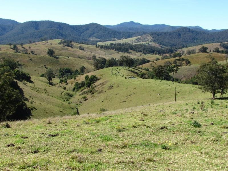 562 Callaghans Creek Road, Mundoee, Gloucester NSW 2422