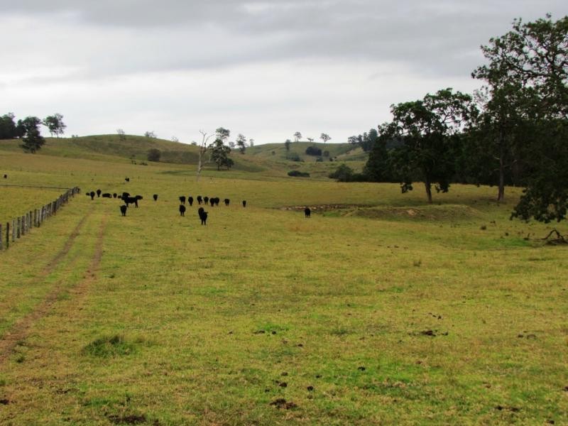 562 Callaghans Creek Road, Mundoee, Gloucester NSW 2422