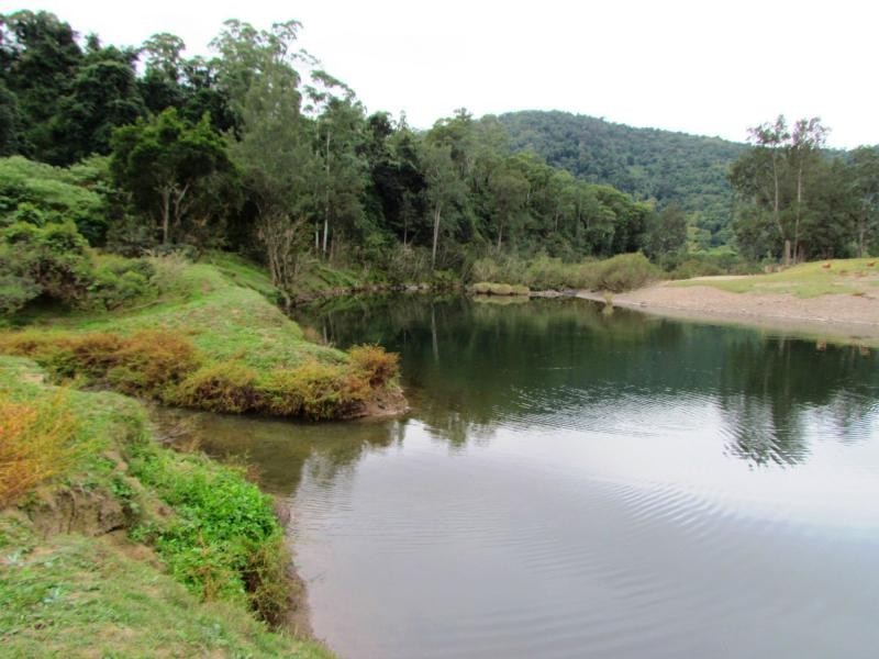 562 Callaghans Creek Road, Mundoee, Gloucester NSW 2422