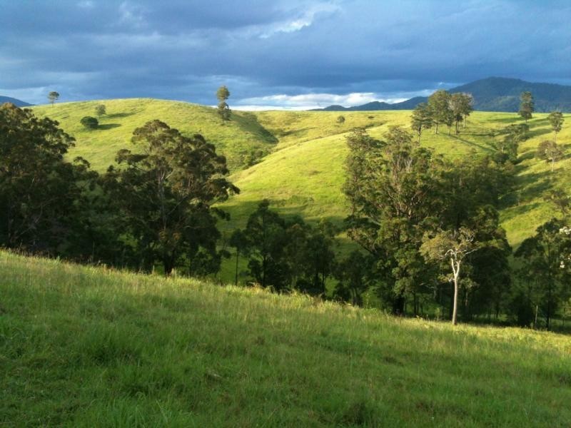 562 Callaghans Creek Road, Mundoee, Gloucester NSW 2422