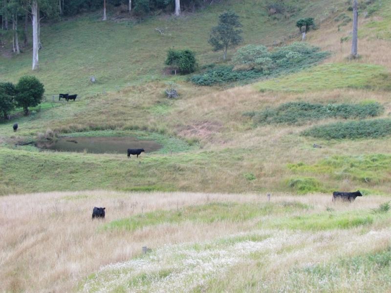 562 Callaghans Creek Road, Mundoee, Gloucester NSW 2422