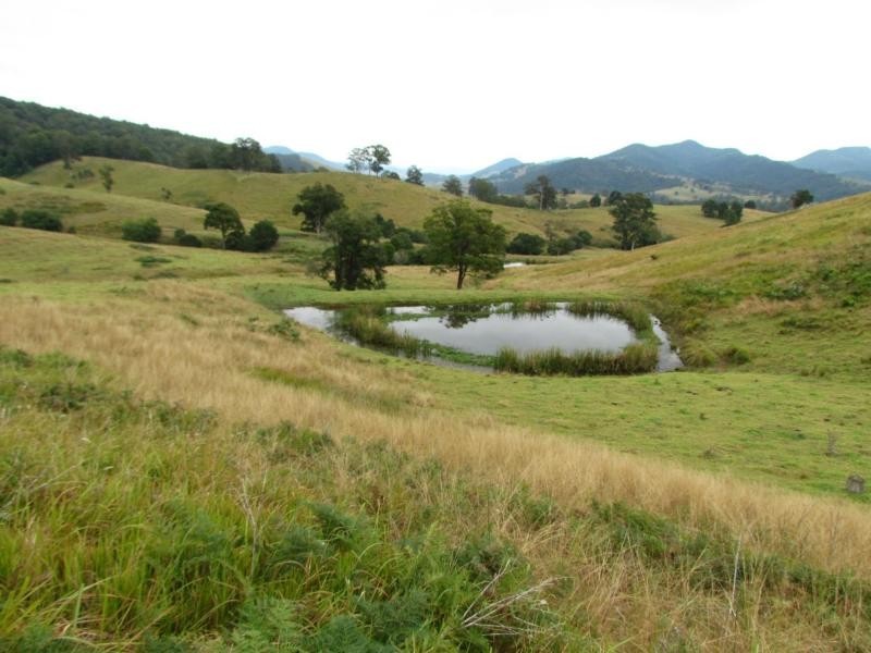 562 Callaghans Creek Road, Mundoee, Gloucester NSW 2422