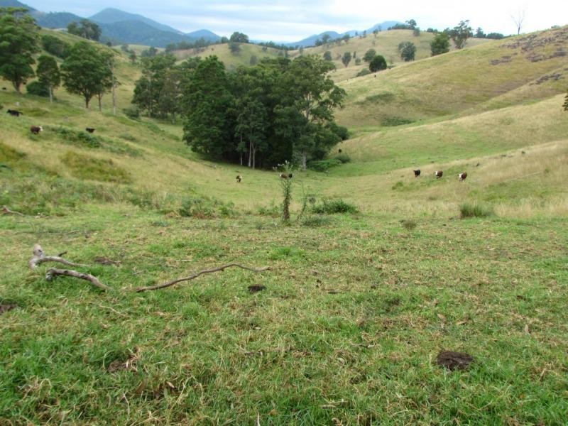 562 Callaghans Creek Road, Mundoee, Gloucester NSW 2422