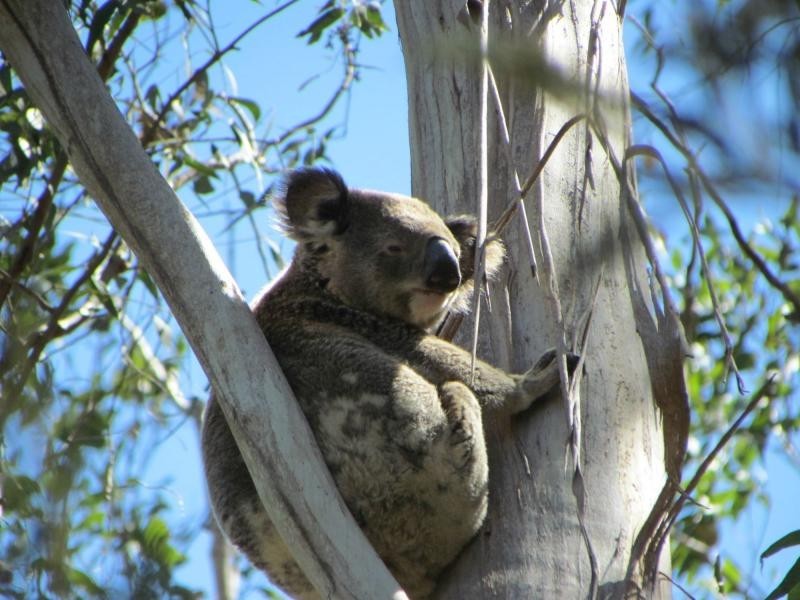 Gloucester NSW 2422