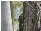 Gloucester NSW 2422