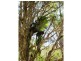 Gloucester NSW 2422