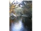 Gloucester NSW 2422