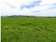 Gloucester NSW 2422