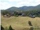 Tiri NSW 2424