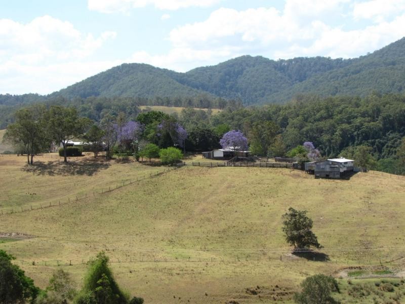 Tiri NSW 2424