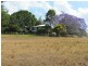 Tiri NSW 2424