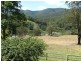 Tiri NSW 2424