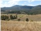 Tiri NSW 2424