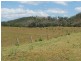 Tiri NSW 2424