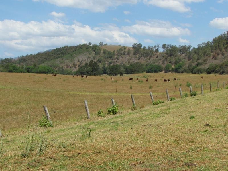 Tiri NSW 2424