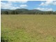 Tiri NSW 2424