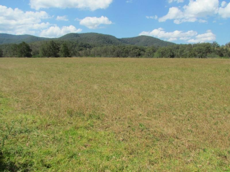 Tiri NSW 2424