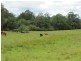 169 Briton Court Road, Stroud, Stroud NSW 2425