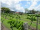 169 Briton Court Road, Stroud, Stroud NSW 2425