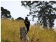 Gloucester NSW 2422