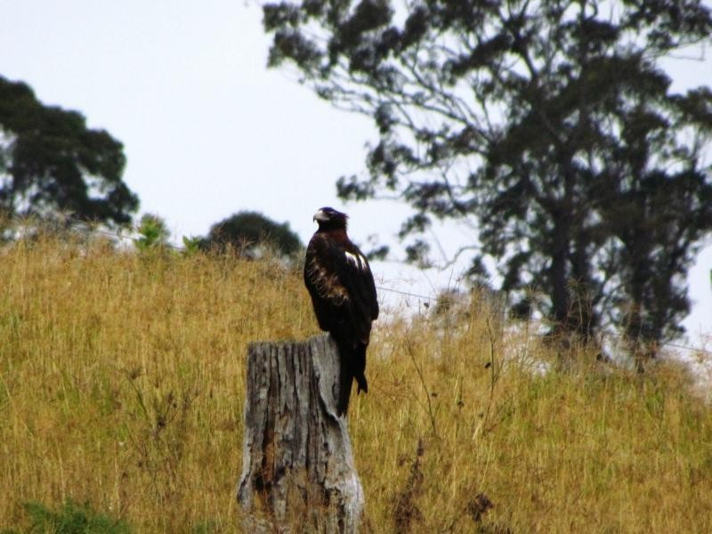 Gloucester NSW 2422