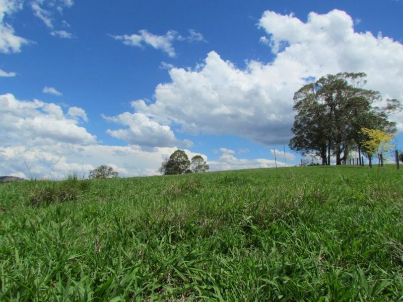 Gloucester NSW 2422