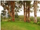 Gloucester NSW 2422