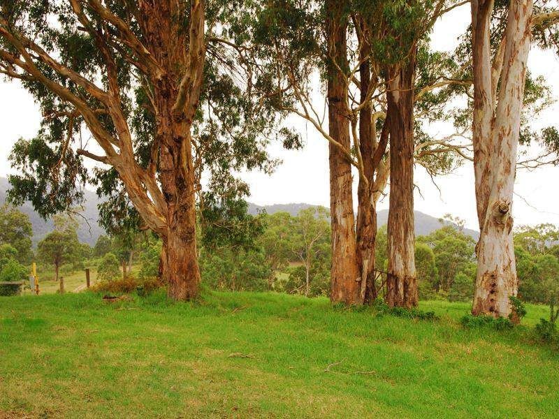 Gloucester NSW 2422