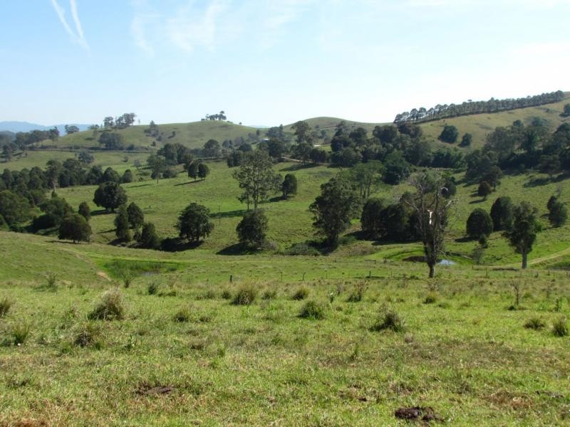 730 Bunyah Road, Bulby Brush, Bunyah NSW 2429