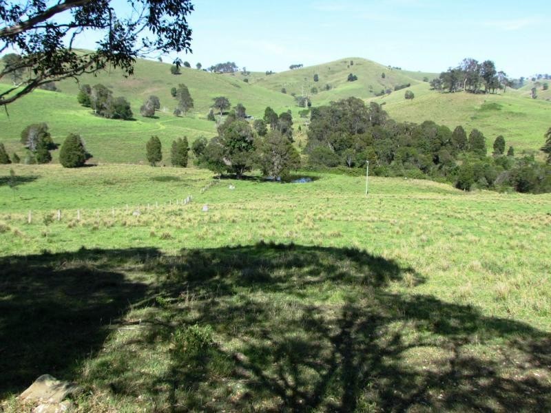 730 Bunyah Road, Bulby Brush, Bunyah NSW 2429