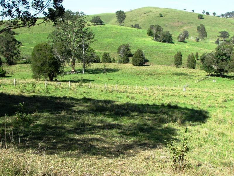 730 Bunyah Road, Bulby Brush, Bunyah NSW 2429