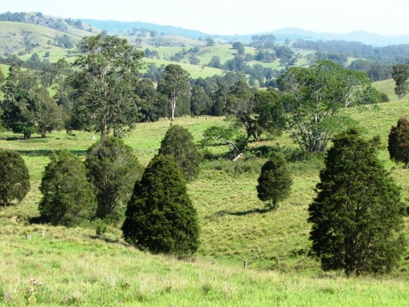 730 Bunyah Road, Bulby Brush, Bunyah NSW 2429