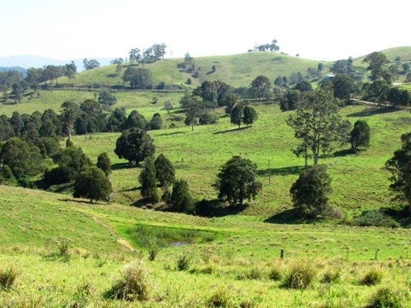 730 Bunyah Road, Bulby Brush, Bunyah NSW 2429