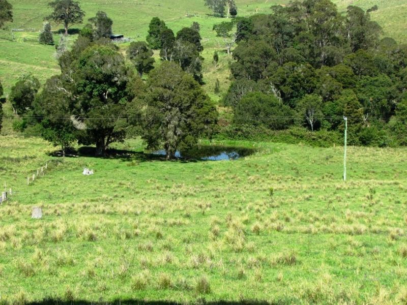 730 Bunyah Road, Bulby Brush, Bunyah NSW 2429