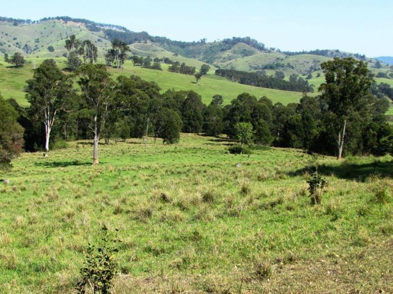 730 Bunyah Road, Bulby Brush, Bunyah NSW 2429