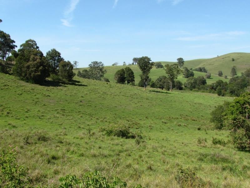 730 Bunyah Road, Bulby Brush, Bunyah NSW 2429