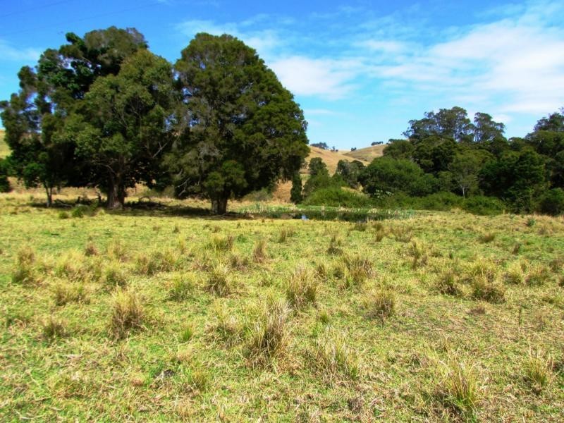 730 Bunyah Road, Bulby Brush, Bunyah NSW 2429