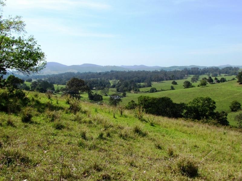 782 Bunyah Road, Bulby Brush, Bunyah NSW 2429