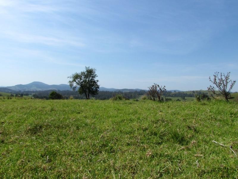 782 Bunyah Road, Bulby Brush, Bunyah NSW 2429