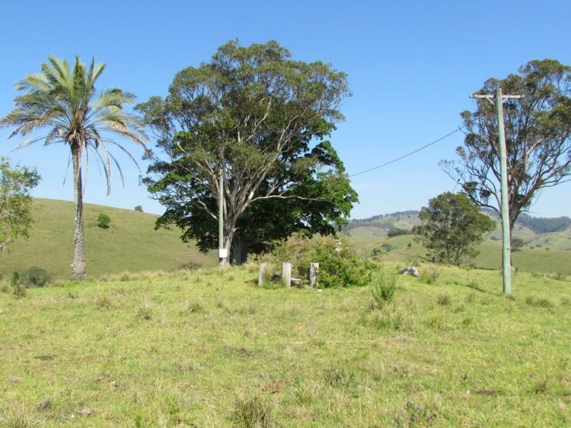 782 Bunyah Road, Bulby Brush, Bunyah NSW 2429