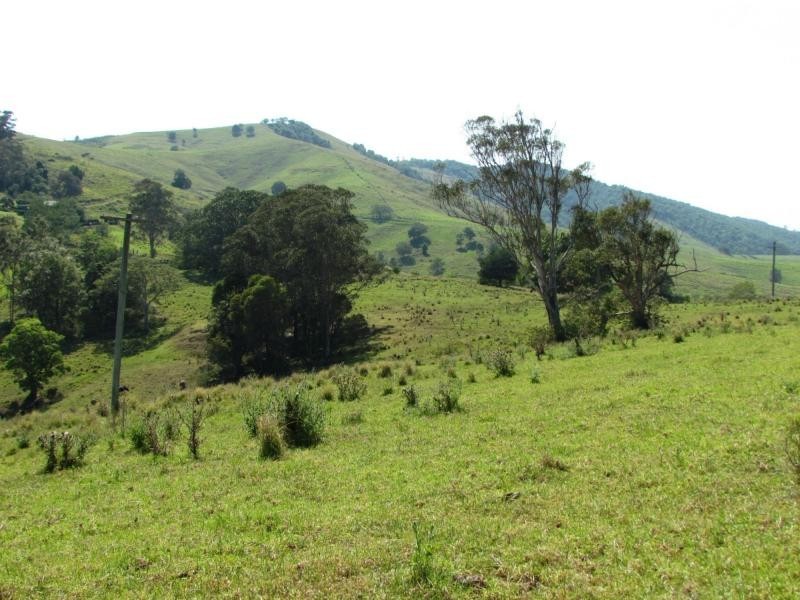 782 Bunyah Road, Bulby Brush, Bunyah NSW 2429