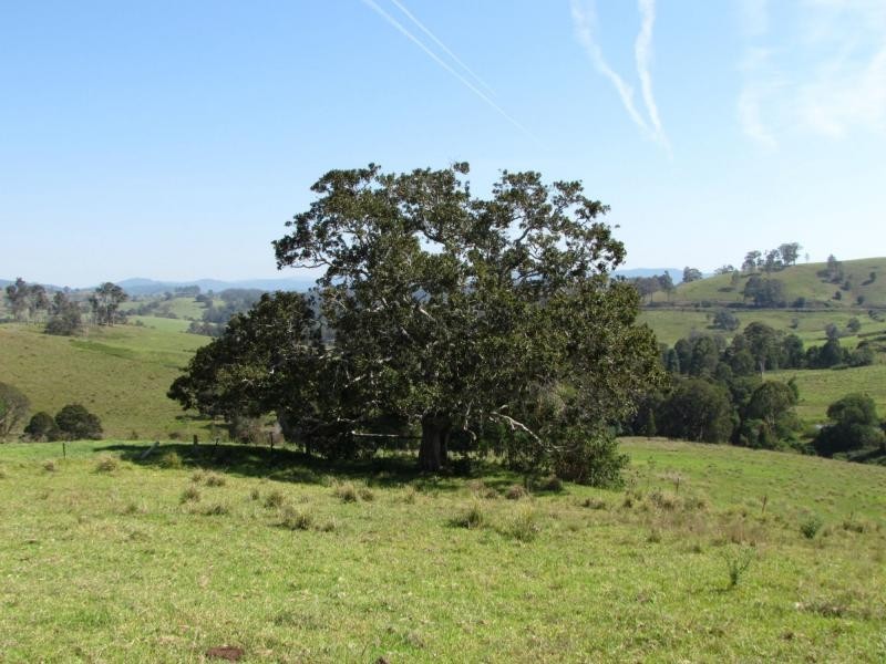 782 Bunyah Road, Bulby Brush, Bunyah NSW 2429