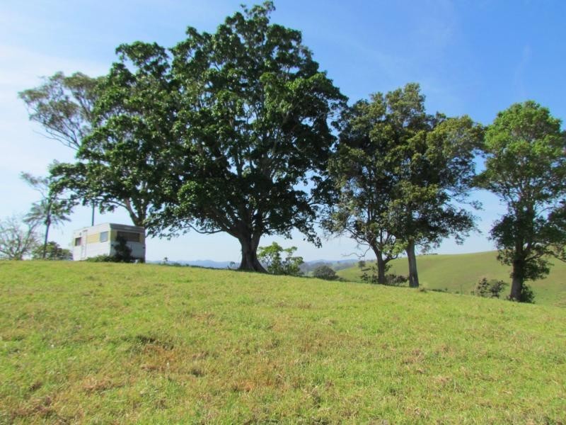 782 Bunyah Road, Bulby Brush, Bunyah NSW 2429