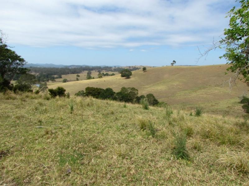 782 Bunyah Road, Bulby Brush, Bunyah NSW 2429