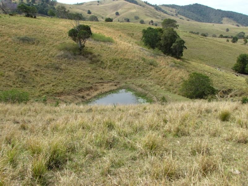 782 Bunyah Road, Bulby Brush, Bunyah NSW 2429