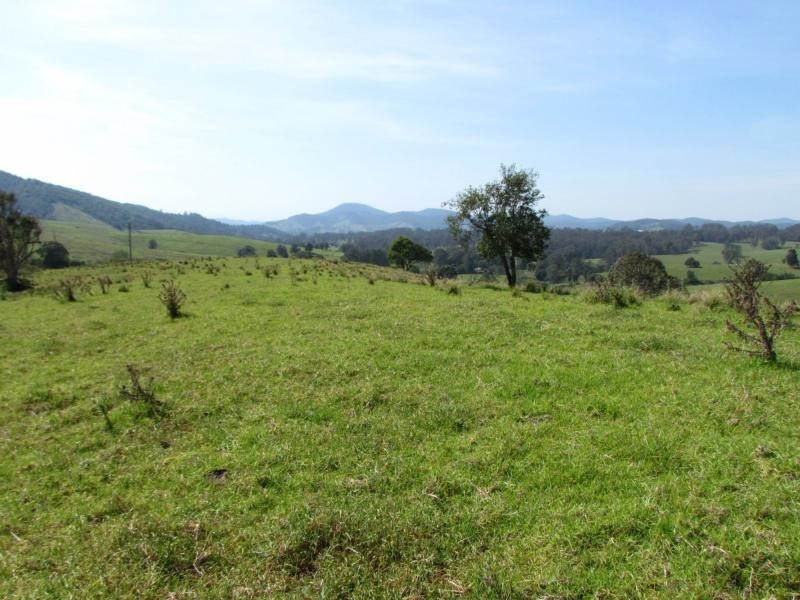 782 Bunyah Road, Bulby Brush, Bunyah NSW 2429