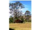 Gloucester NSW 2422