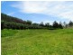 Gloucester NSW 2422