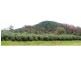 Gloucester NSW 2422